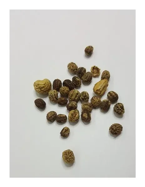 10x Kapuzinerkresse Mischung EKO Tropaeolum majus Garten Pflanzen – Samen KS100