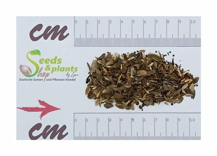 2 m² Sommerblumenmischung Traumgarten Weiße Töne Garten Pflanzen – Samen F-S575