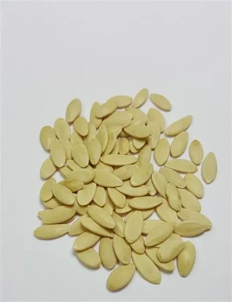 20x Besondere Samen Salatgurke Lemon Apple – Samen Gurke Gemüse KS168