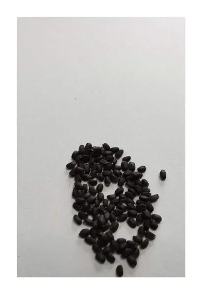 2500x Basilicum F1 Kresse Gewürz Pflanzen – Samen A331