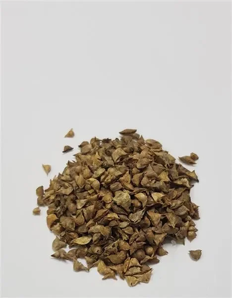 250x Spinat Breitblatt scharfsaat Gemüse Garten Pflanzen – Samen K399