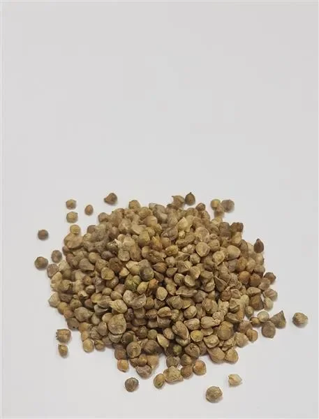 250x Spinat Nores Spinacia oleracea Gemüse Pflanzen – Samen K553