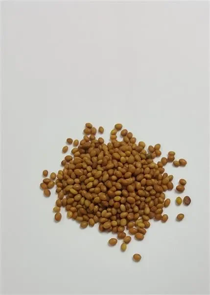 2800x Rotklee Bienentrachtpflanze Red Clover EKO Saatgut Pflanzen – Samen K219