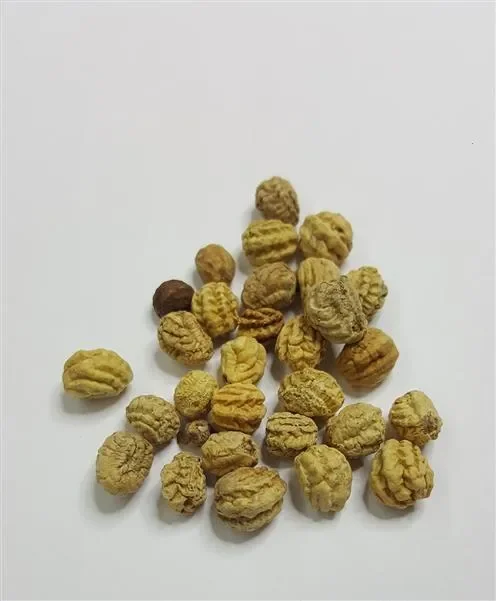 32x Kapuzinerkresse Out of Africa mix hochrankend Garten Pflanzen – Samen K218