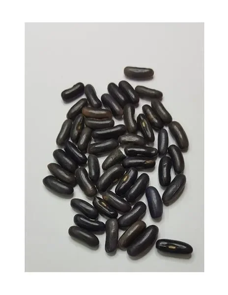 35x ELMORO BIO (Phaseolus vulgaris) Bohnen Gemüse Garten Pflanzen – Samen SV31