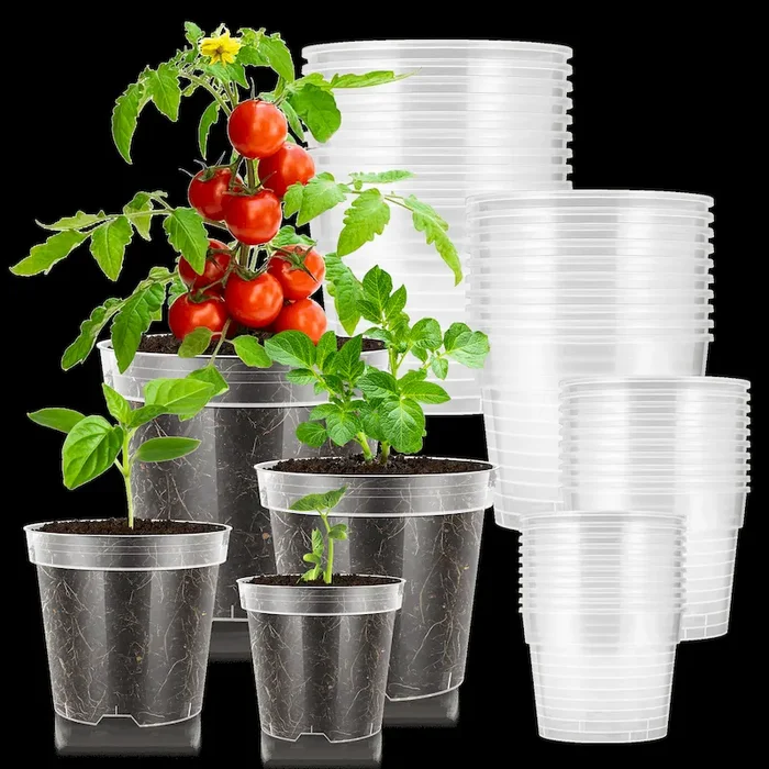 40 Packs 3/4/5/6 Inch Clear Nursery Pots with Drainage Holes