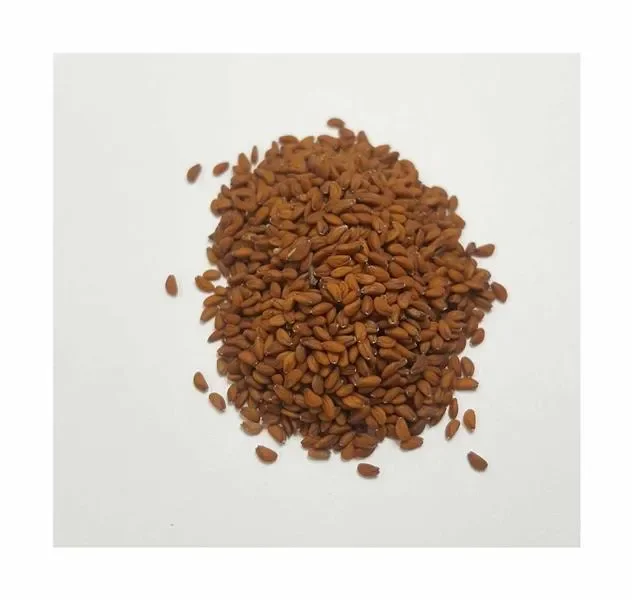 4000x Gartenkresse Cresso EKO Lepidium sativum Gemüse Pflanzen – Samen K283