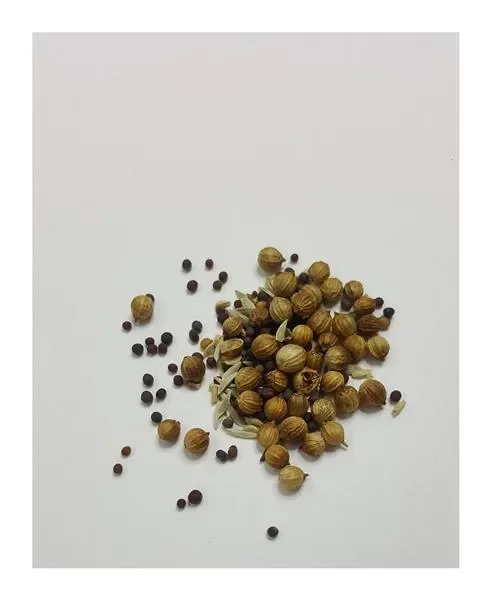 45x Xotica Salade Mix Exotisch Baby Leaf Garten Pflanzen – Samen KS186