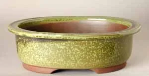 8.75″ Houtoku Bonsai Pot