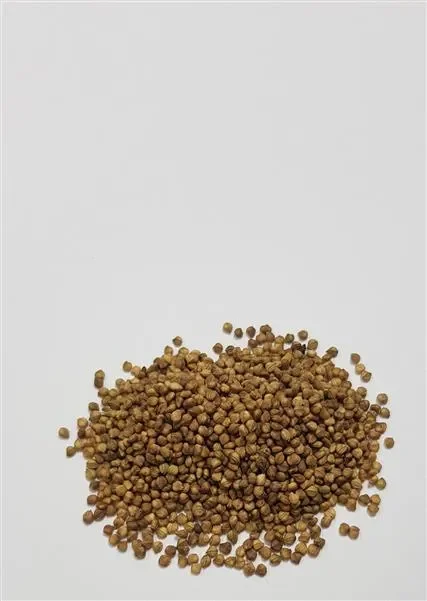 80x Feldsalat Volhart 2-Salat Samen Gemüse Kräuter Garten Pflanze KS433