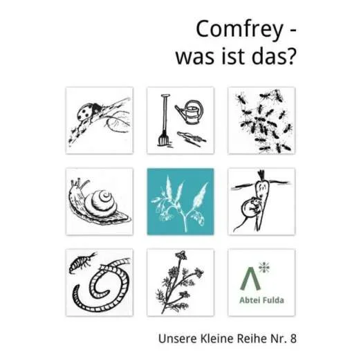 Abtei Fulda:Comfrey – was ist das?
