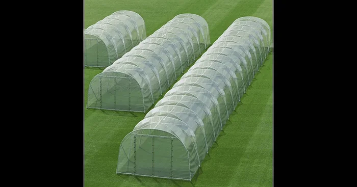 Aktions-Folientunnel Römi® Classic in 3 Längen