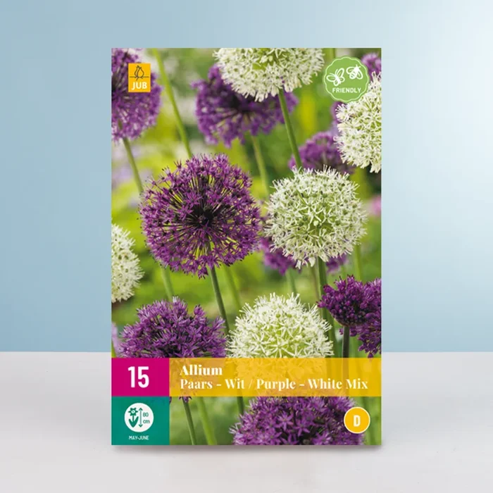 Allium ‚Lila-Weiß‘ Mix – 15 Zwiebeln
