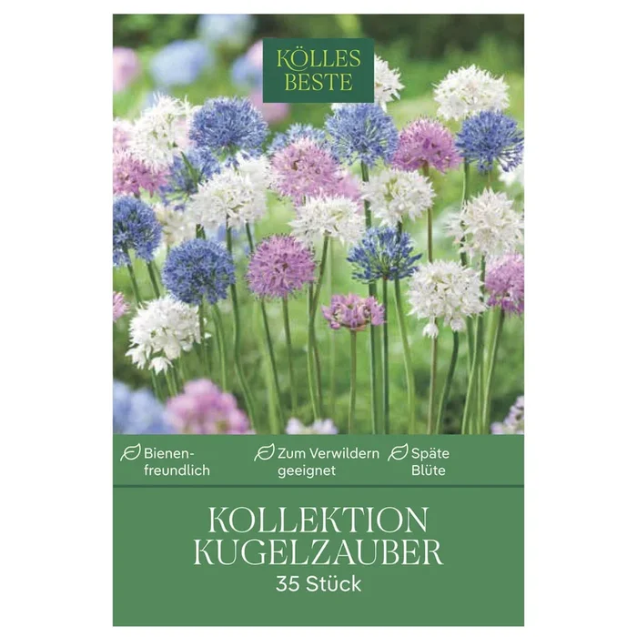 Allium-Mischung Kollektion ‚Kugelzauber‘, blau, weiß, rosa, 35 Blumenzwiebeln