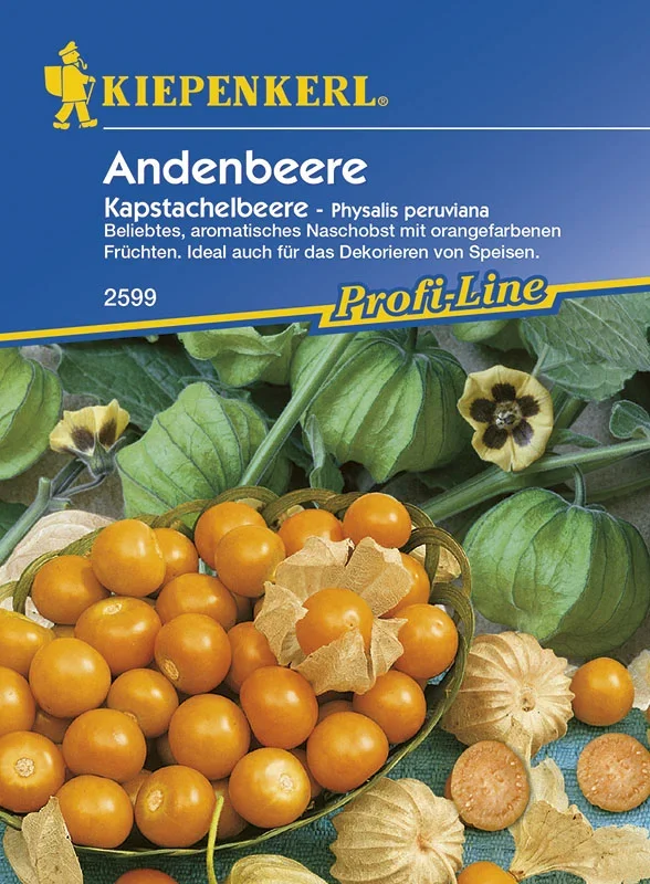 Andenbeere Kapstachelbeere