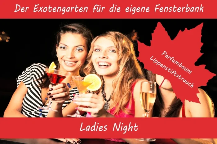 Anzuchtset Ladies Night