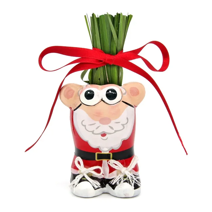 Anzuchtset Munakuppi Weihnachtsmann