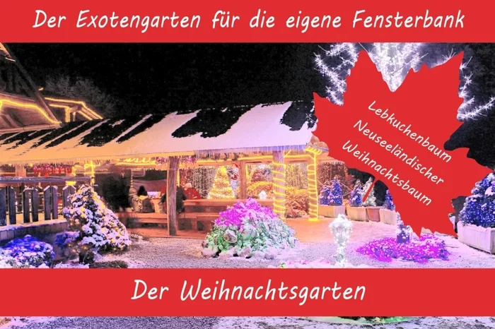 Anzuchtset Weihnachtsgarten