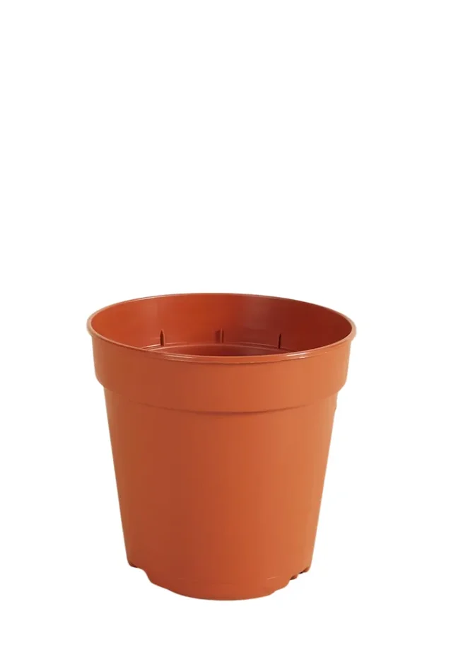 Anzuchttopf Ø12