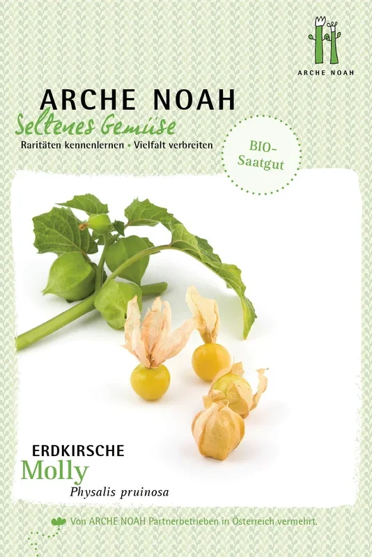 Arche Noah Bio Erdkirsche „Molly“