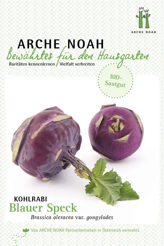 Arche Noah Bio Kohlrabi „Blauer Speck“