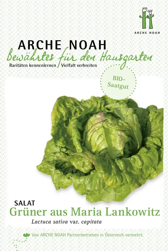 Arche Noah Bio Krachsalat / Batavia „Grüner aus Maria Lankowitz“