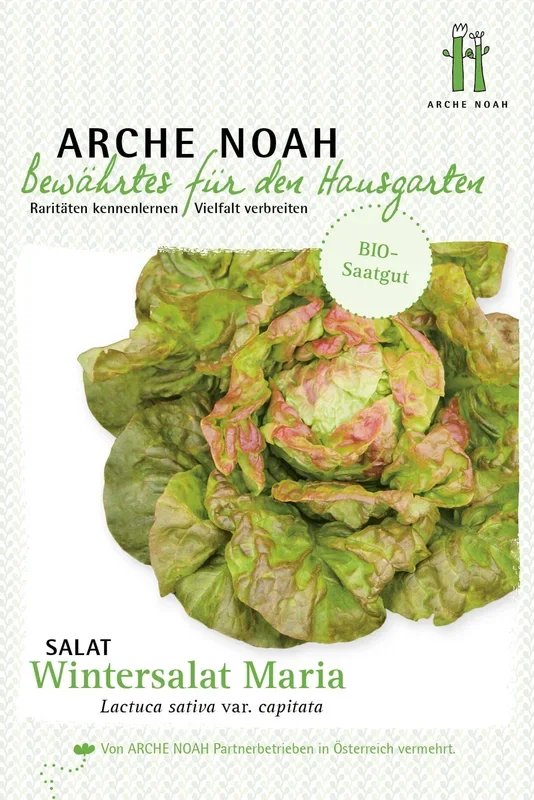 Arche Noah Bio Salat „Wintermarie“