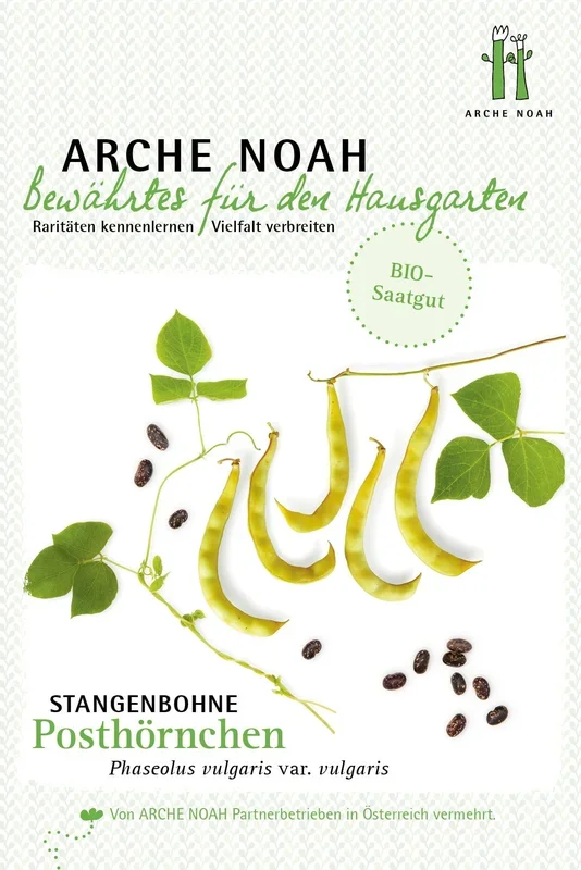 Arche Noah Bio Stangenbohne „Posthörnchen“