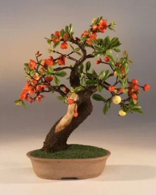 Artificial Flowering Quince Bonsai Tree