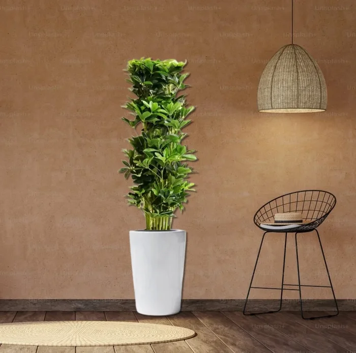 Artificial Schefflera arboricola „Green“ 120cm