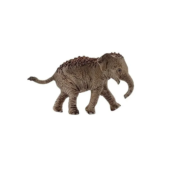 ASIATISCHER ELEFANT WELPE