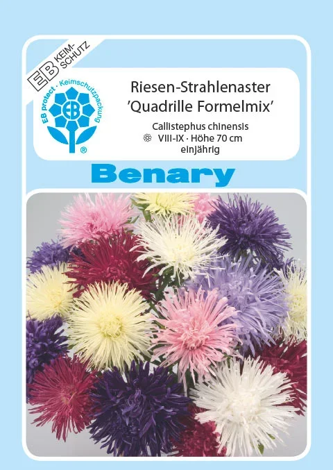 Aster Riesen Strahlen Formel Mix