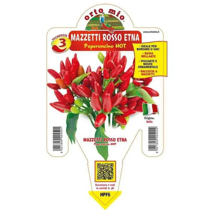 Ätna scharfe Chili-Pfeffer-Pflanze im Topf