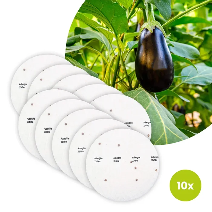 Aubergine Bio-Gemüse – 10 Saatscheiben