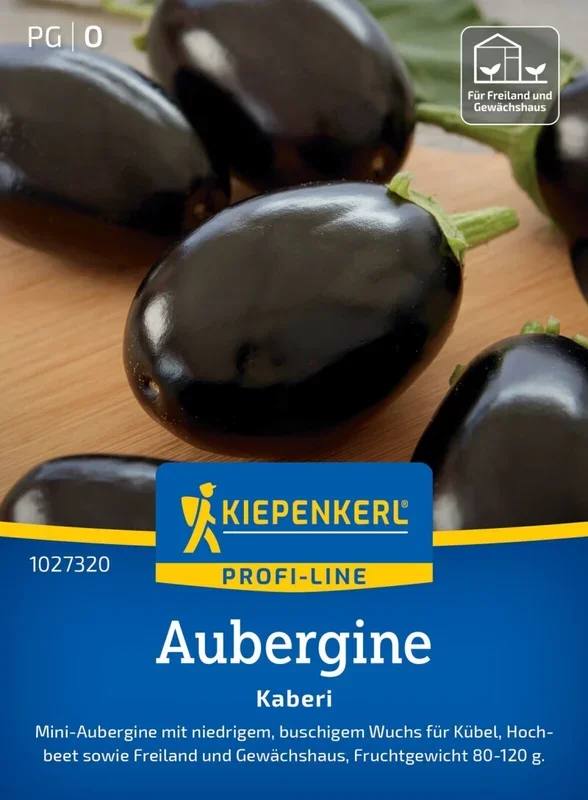 Aubergine Kaberi, F1, Mini-Aubergine – niedrig, buschiger Wuchs – Fruchtgewicht: 80-120 g