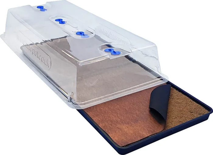 Autopot Easy2Propagate Basis-Set