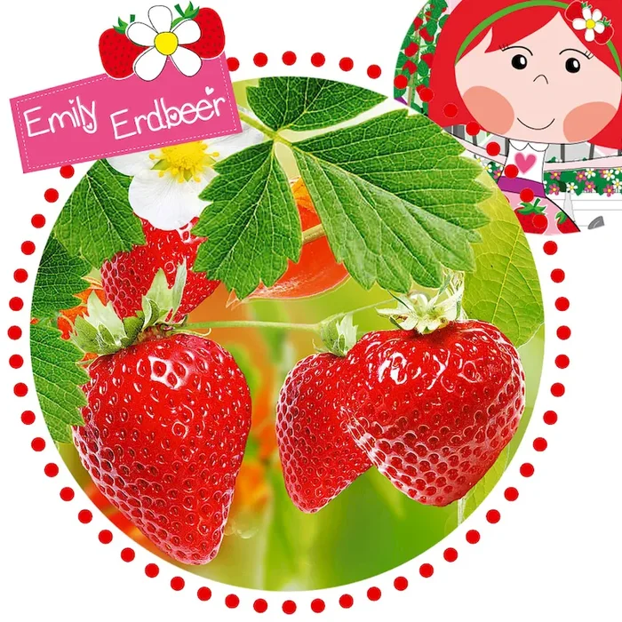 Balkon-Erdbeere ‚Emily Ampel‘ by Emily Erdbeer Bestellnummer 4400259