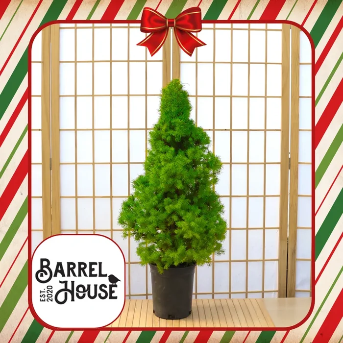 BarrelHouse – Killingworth: Holiday Workshop