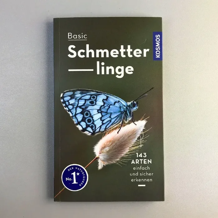 Basic Schmetterlinge (Eva-Maria Dreyer)