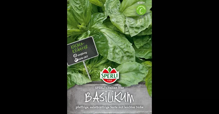 Basilikum ‚Italian Star‘