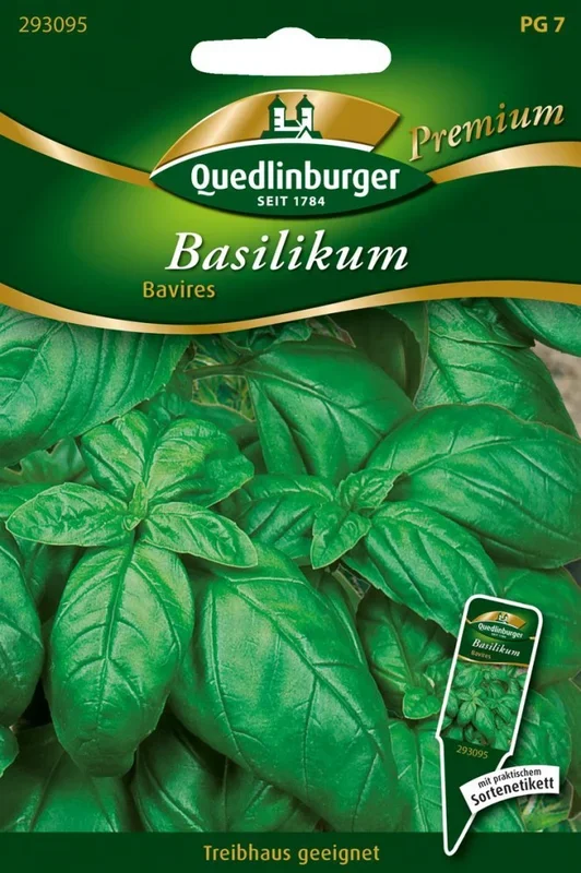 Basilikum Bavires