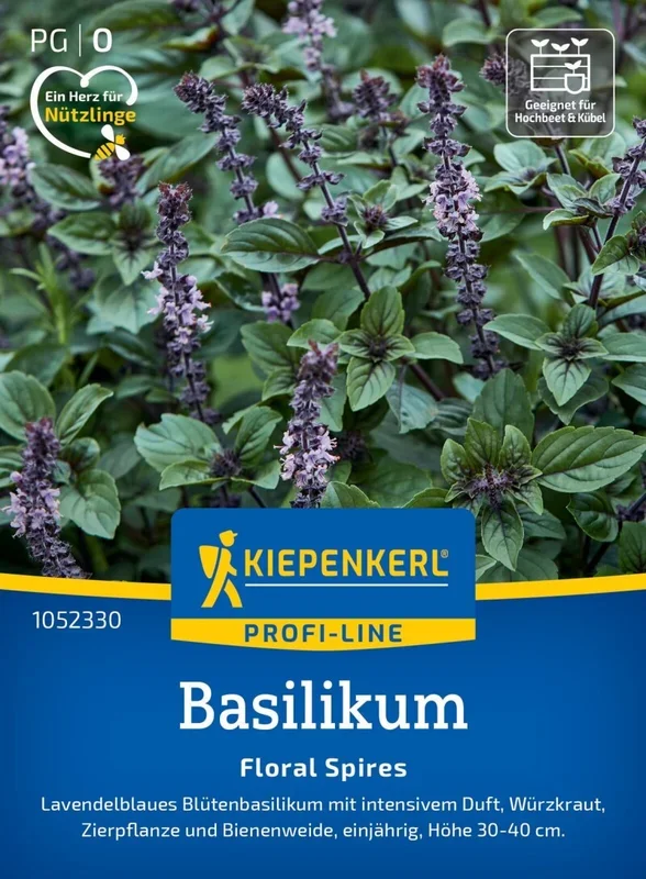 Basilikum Floral Spires Lavendelblau, Blütenbasilikum – Würzkraut, Zierpflanze und Bienenweide