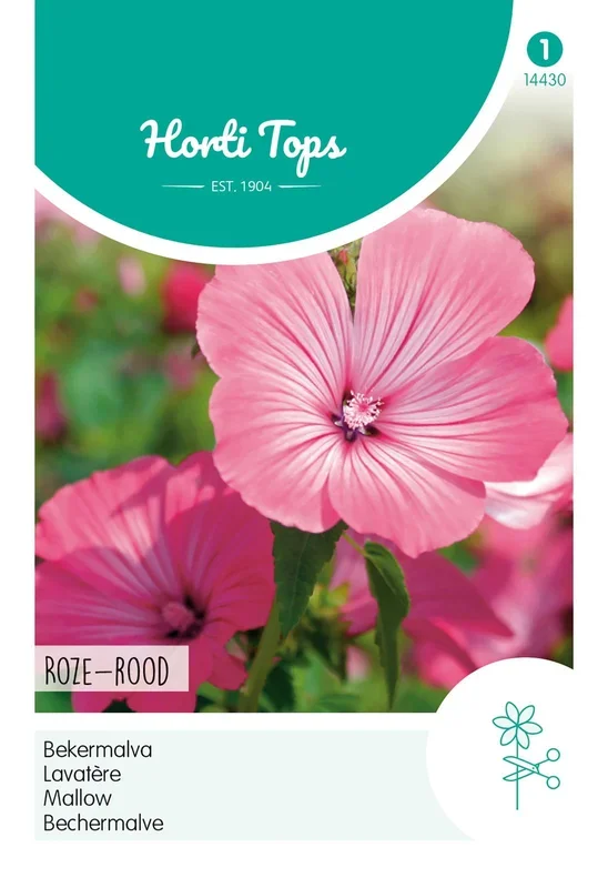 Bechermalve Rosa [MHD 07/2024]