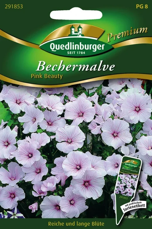 Bechermalven Pink Beauty
