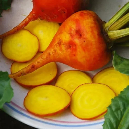 Beetroot Golden Beet