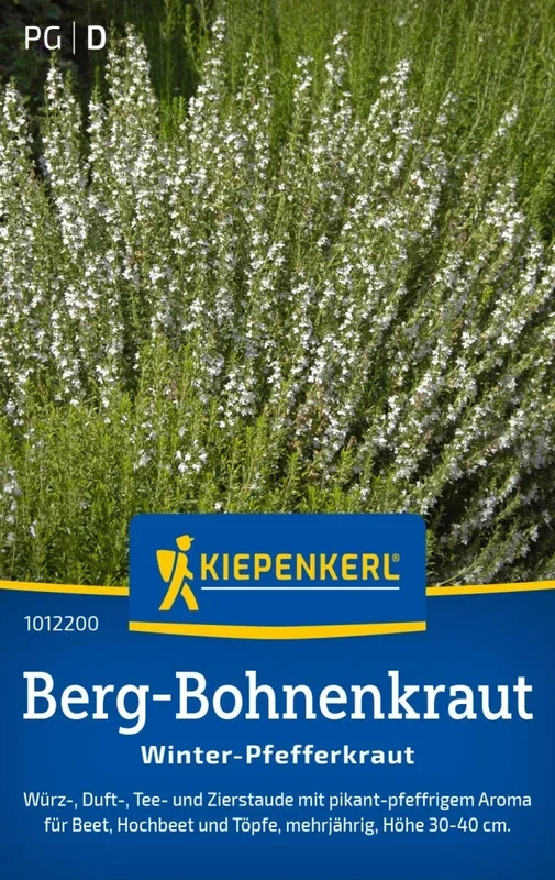 Berg-Bohnenkraut Winter-Pfefferkraut, Würz-, Duft-, Tee- und Zierstaude – Beet, Hochbeet u. Töpfe