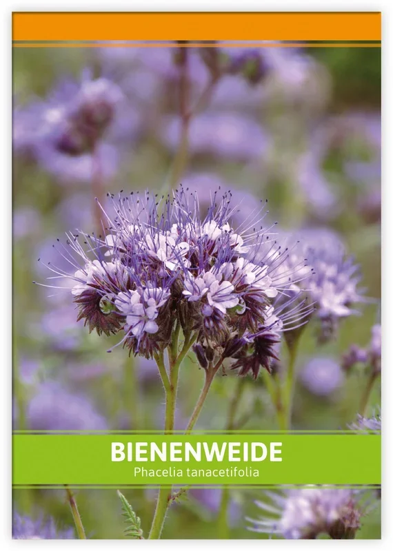 Bienenweide für Werbezwecke