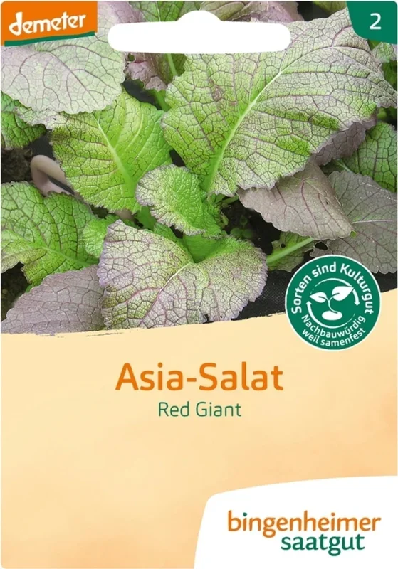 Bingenheimer Saatgut Asia-Salat „Red Giant“