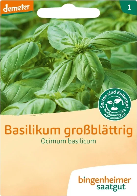 Bingenheimer Saatgut Basilikum „Großblättrig“
