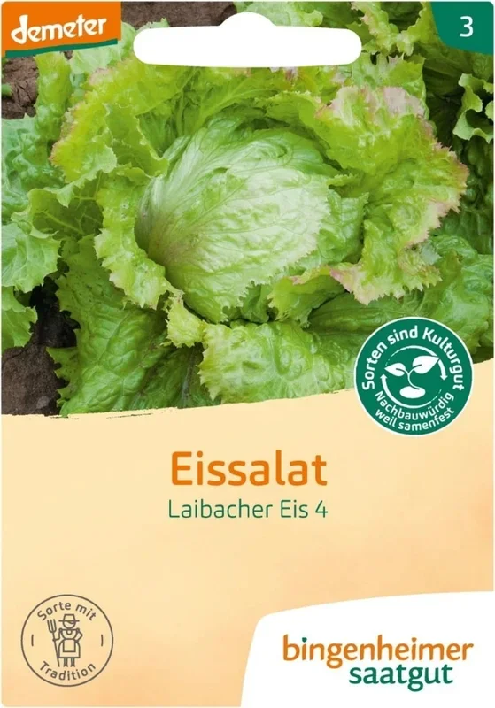 Bingenheimer Saatgut Eissalat – Laibacher Eis 4